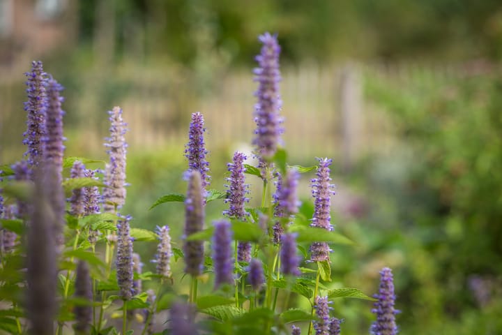 Foto 65 van Wethouder M. van Doorninckweg 19