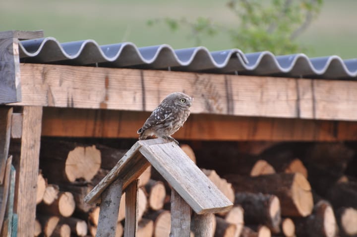 Foto 67 van Wethouder M. van Doorninckweg 19