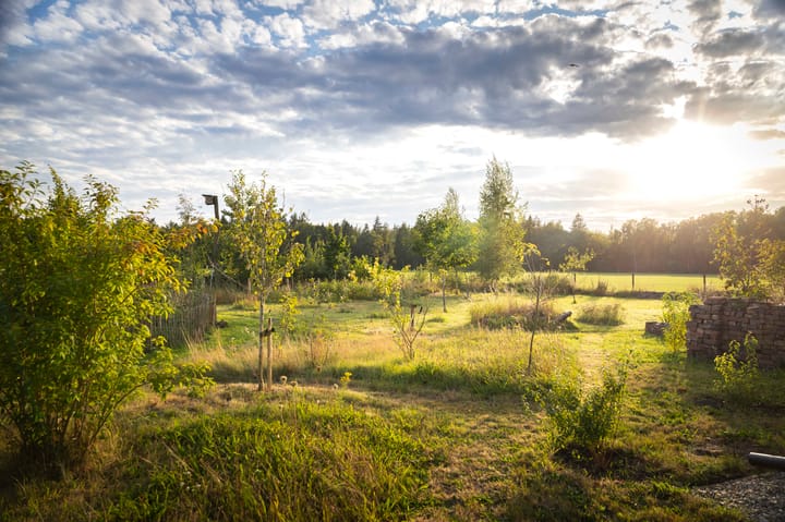 Foto 70 van Wethouder M. van Doorninckweg 19