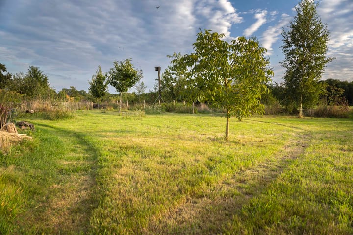 Foto 74 van Wethouder M. van Doorninckweg 19