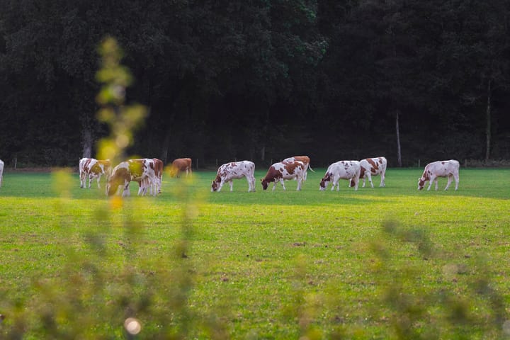 Foto 75 van Wethouder M. van Doorninckweg 19