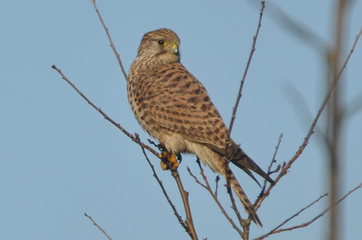 Foto 77 van Wethouder M. van Doorninckweg 19