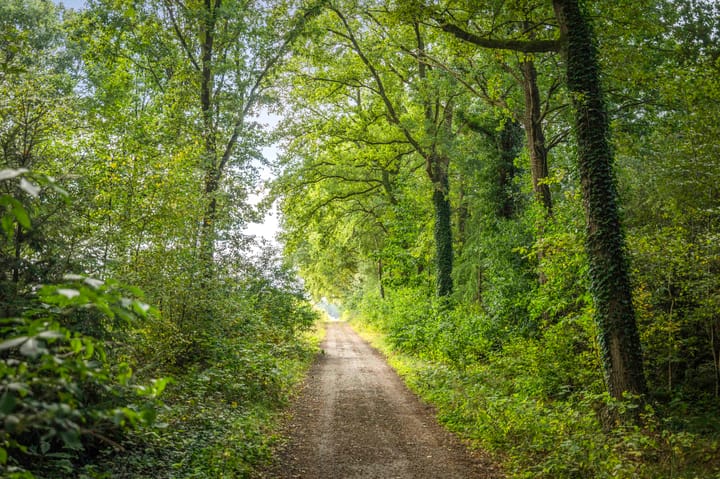 Foto 78 van Wethouder M. van Doorninckweg 19