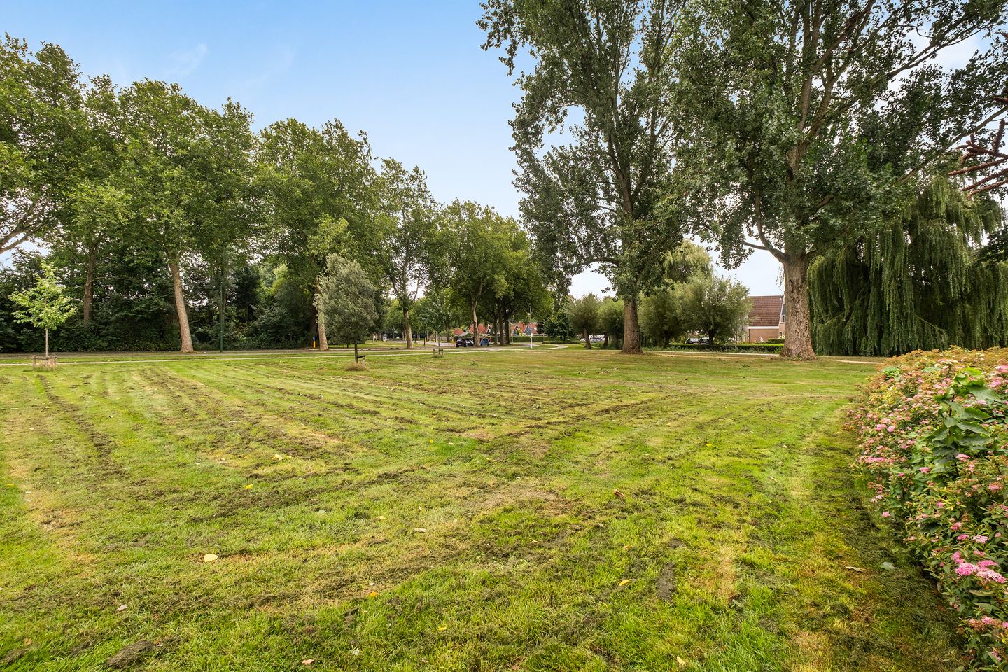 Foto 19 van De Buiskap 45