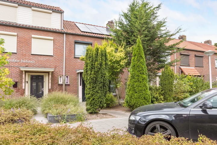 Foto 35 van Mr. C. Goselingstraat 4