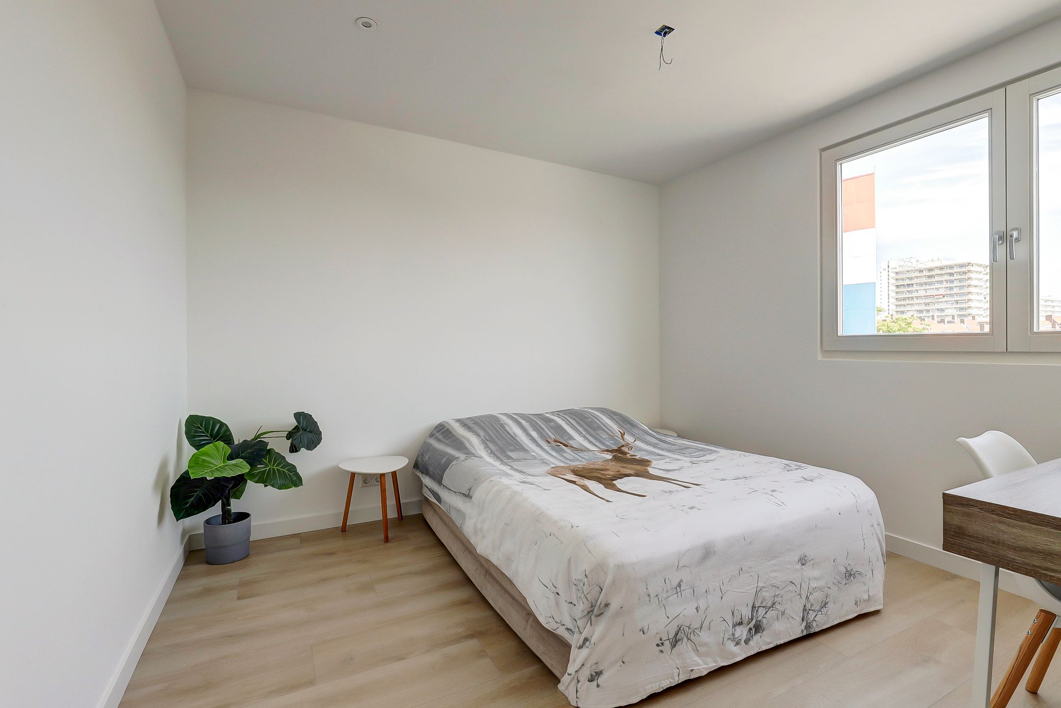 Foto 9 van Kosterstraat 13-F