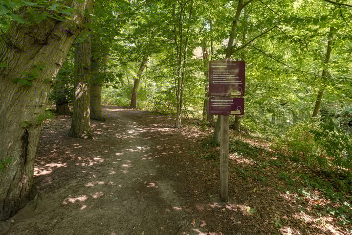 Photo 60 of Oude Meentweg