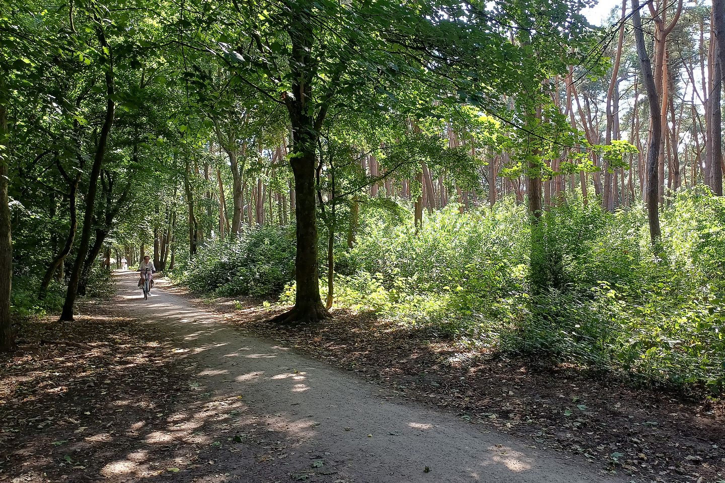 Foto 29 van Eikbosserweg 256