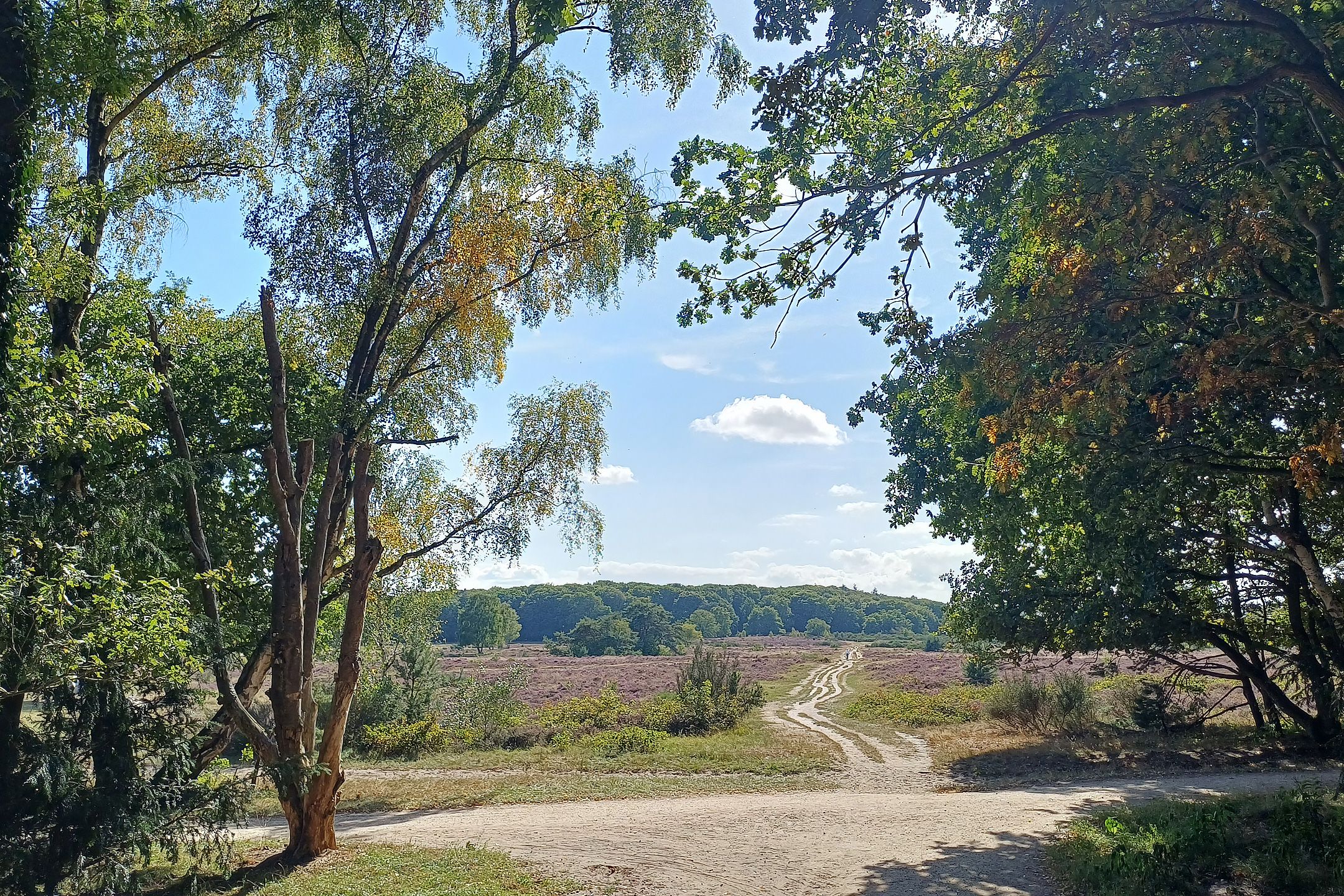 Foto 30 van Eikbosserweg 256