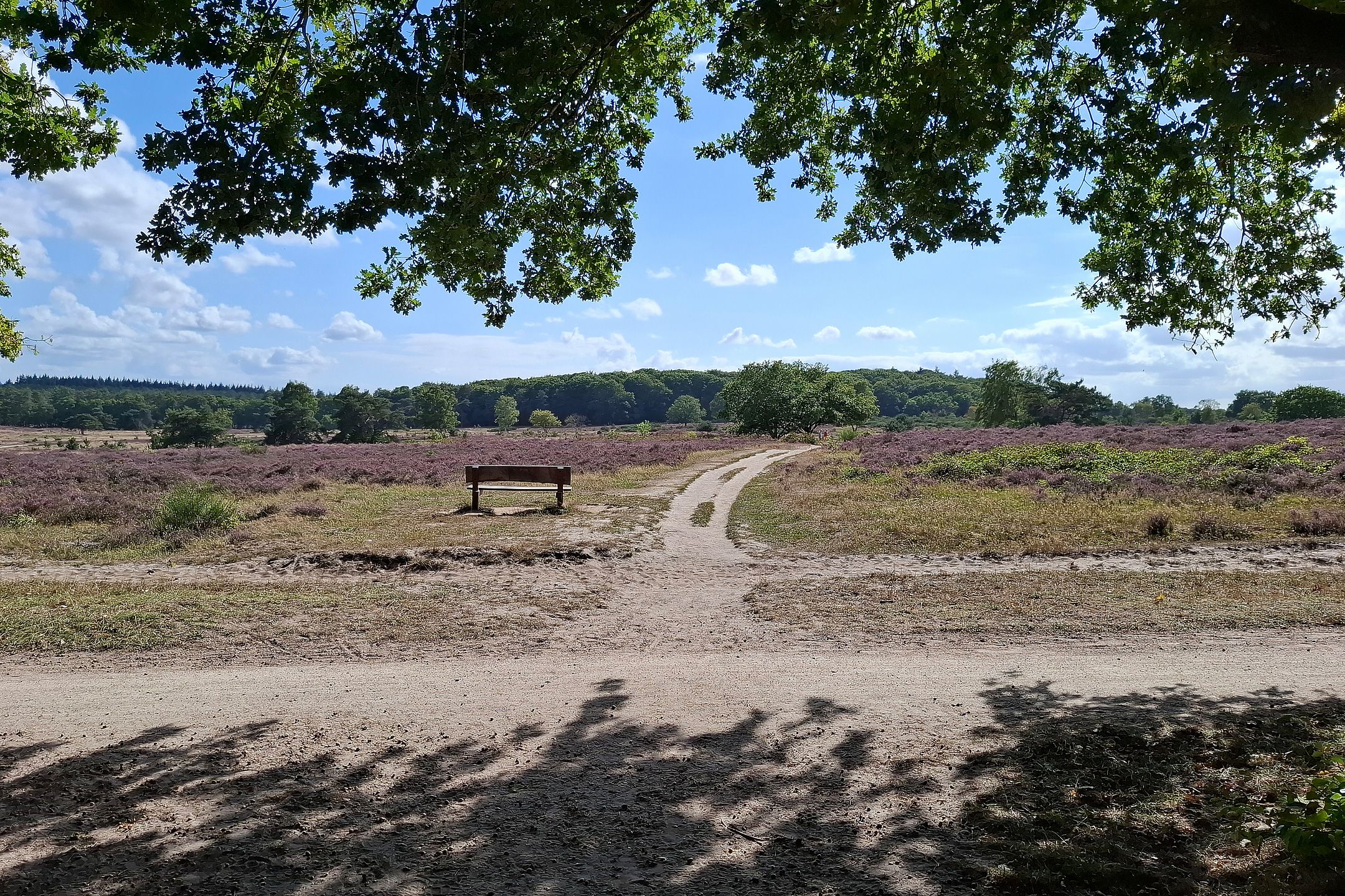 Foto 33 van Eikbosserweg 256