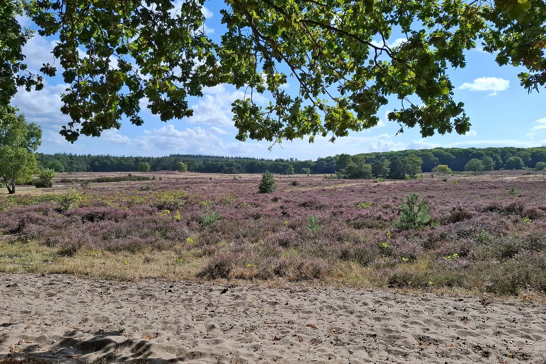 Foto 32 van Eikbosserweg 256