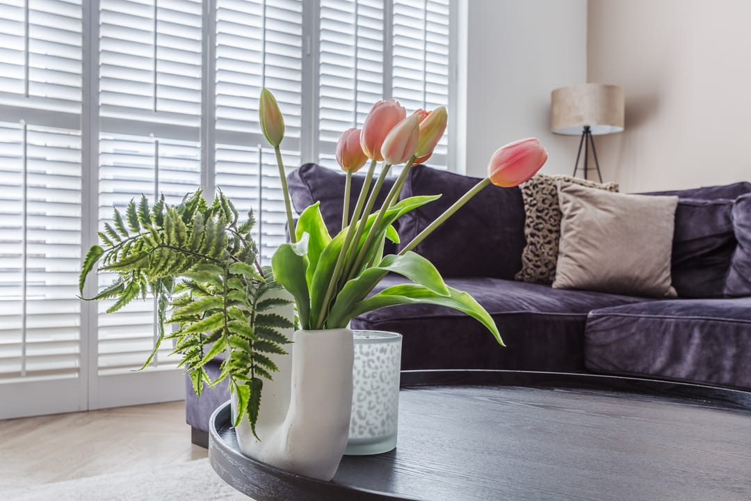 Photo 13 of Donald Ducklaan 18