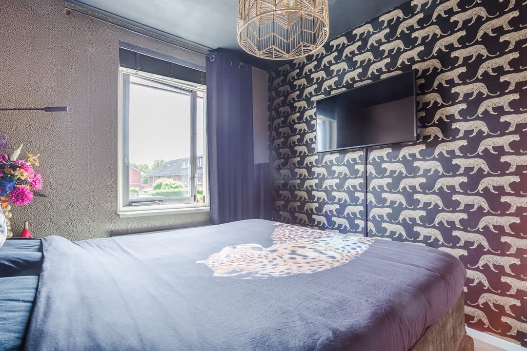 Photo 26 of Donald Ducklaan 18