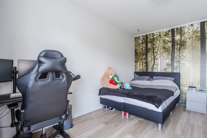 Foto 29 van Donald Ducklaan 18