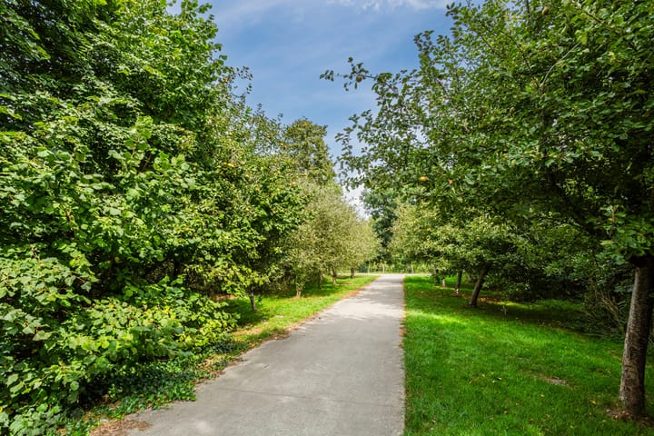 Foto 54 van Donald Ducklaan 18