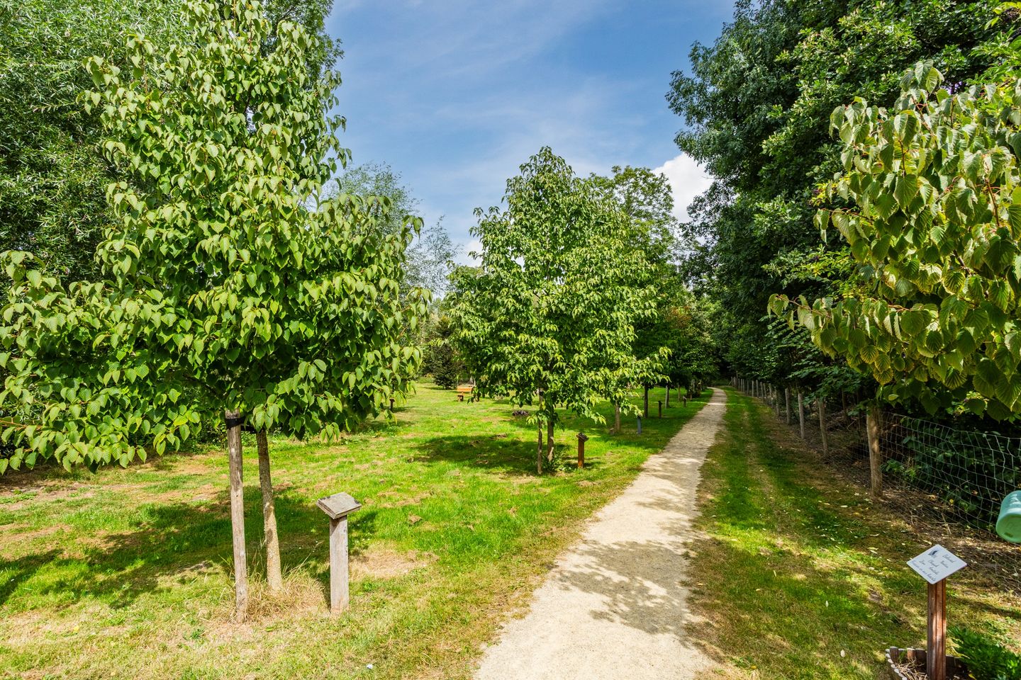 Photo 55 of Donald Ducklaan 18