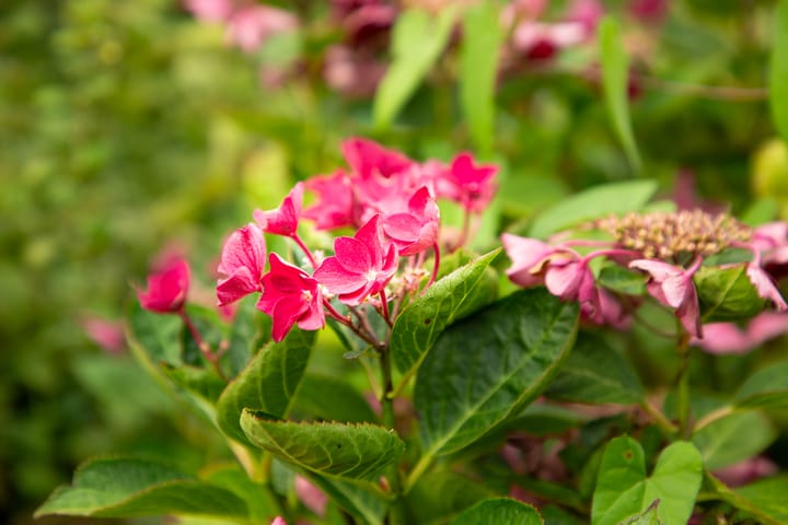 Photo 43 of Ruurloseweg 22