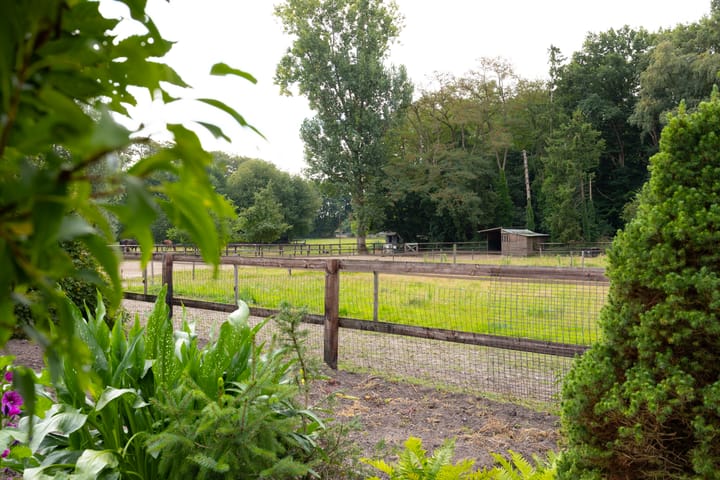 Photo 54 of Ruurloseweg 22