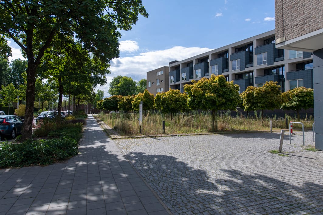 Photo 38 of Gotenpark 195