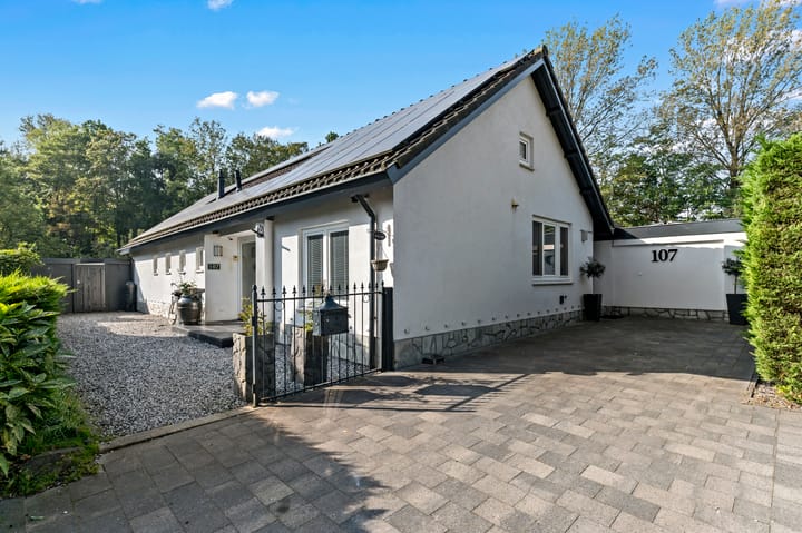 Foto 5 van Leiwater 107