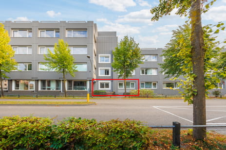 undefined main image