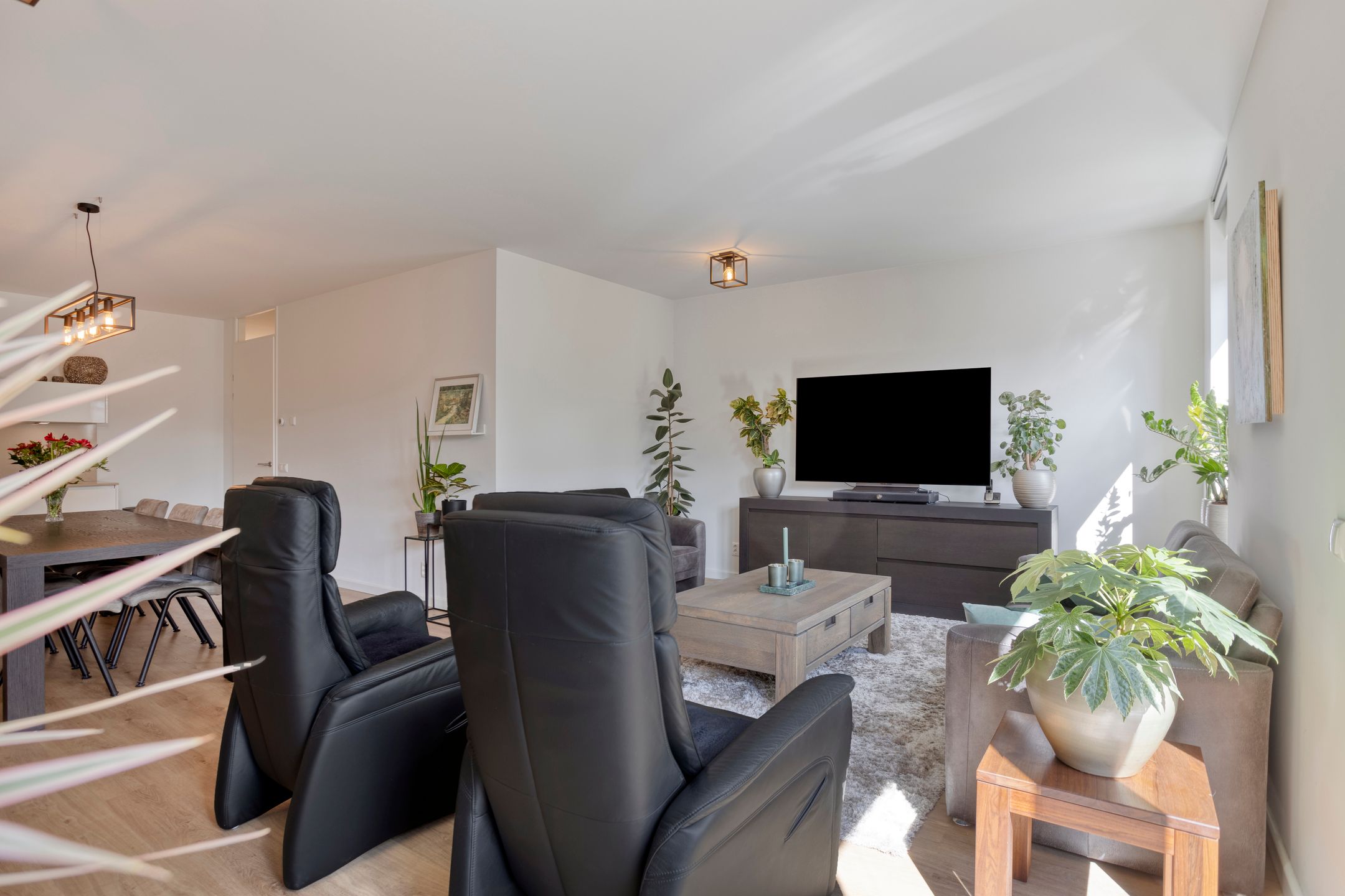 Photo 12 of Galiahof 8