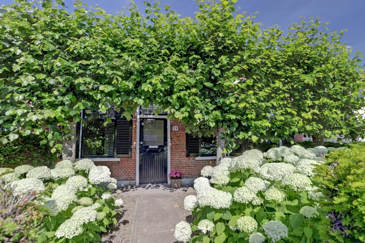 Foto 2 van Noordweg 39