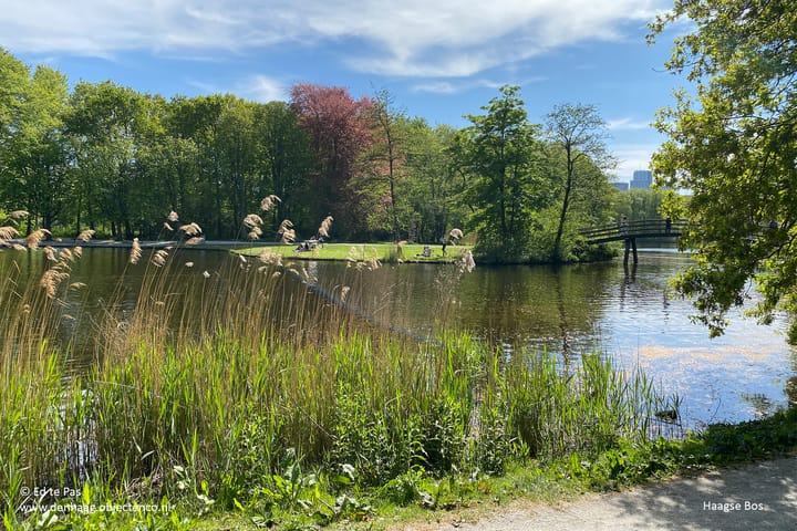 Foto 27 van Altingstraat 86