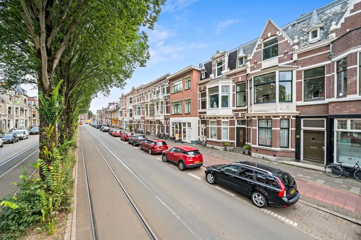 Photo 50 of Laan van Meerdervoort 278