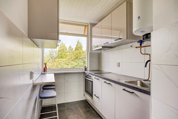 Foto 12 van Valkreek 120