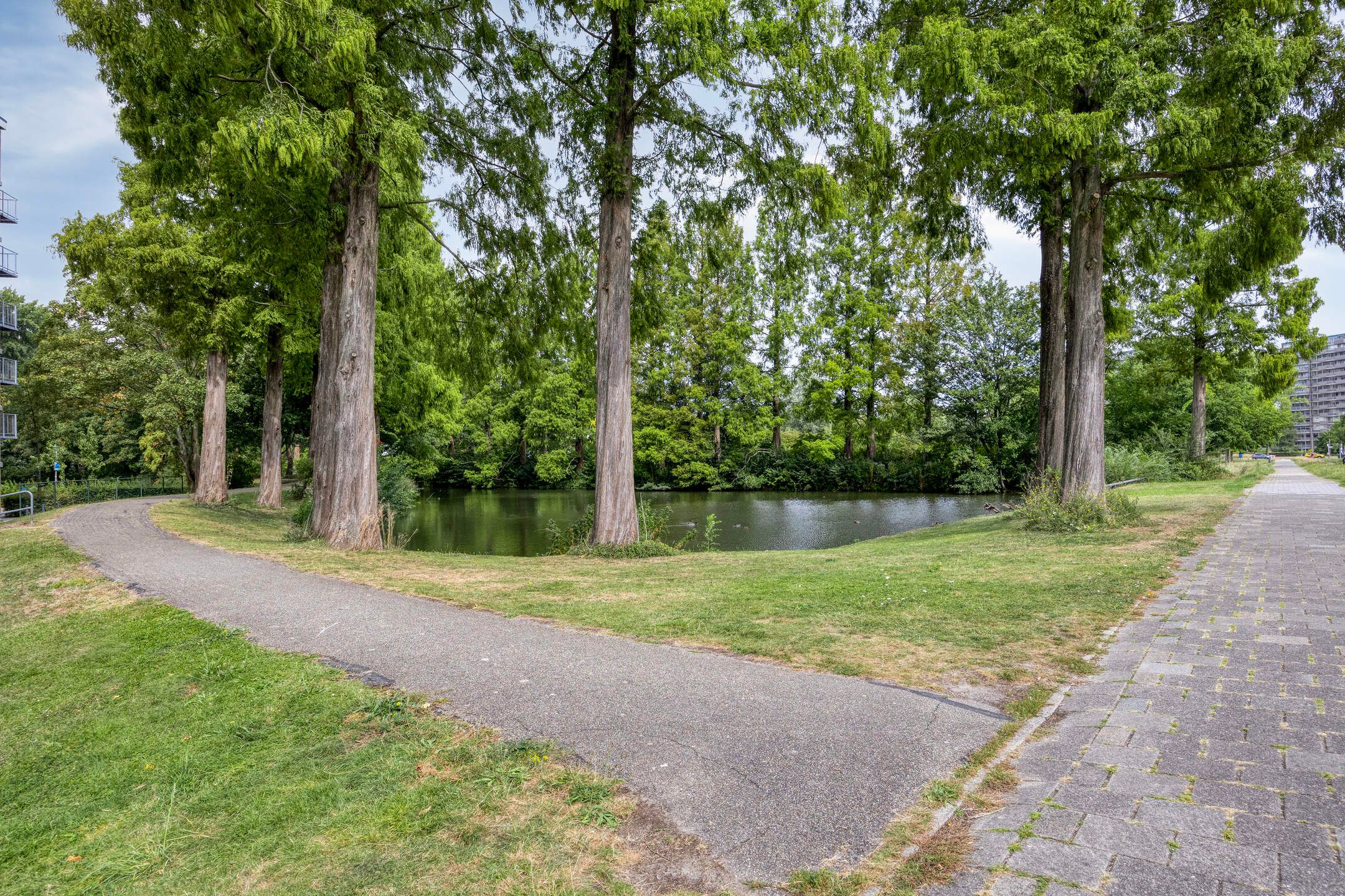 Photo 24 of Valkreek 120