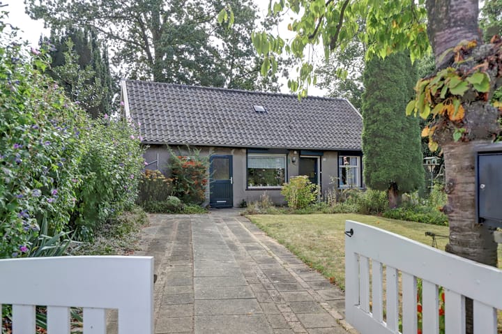 Burgemeester van Gilsstraat 19 main image