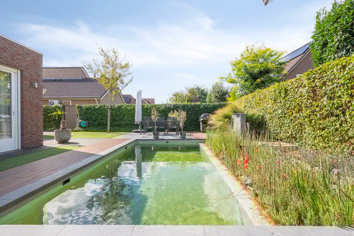 Foto 49 van Theissenstraat 17