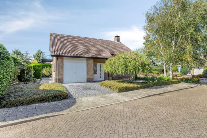 Foto 2 van De Wolfstraat 11