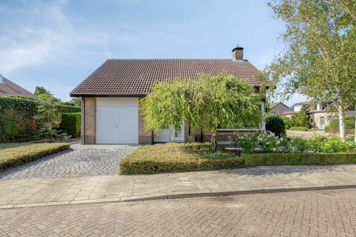 Foto 3 van De Wolfstraat 11