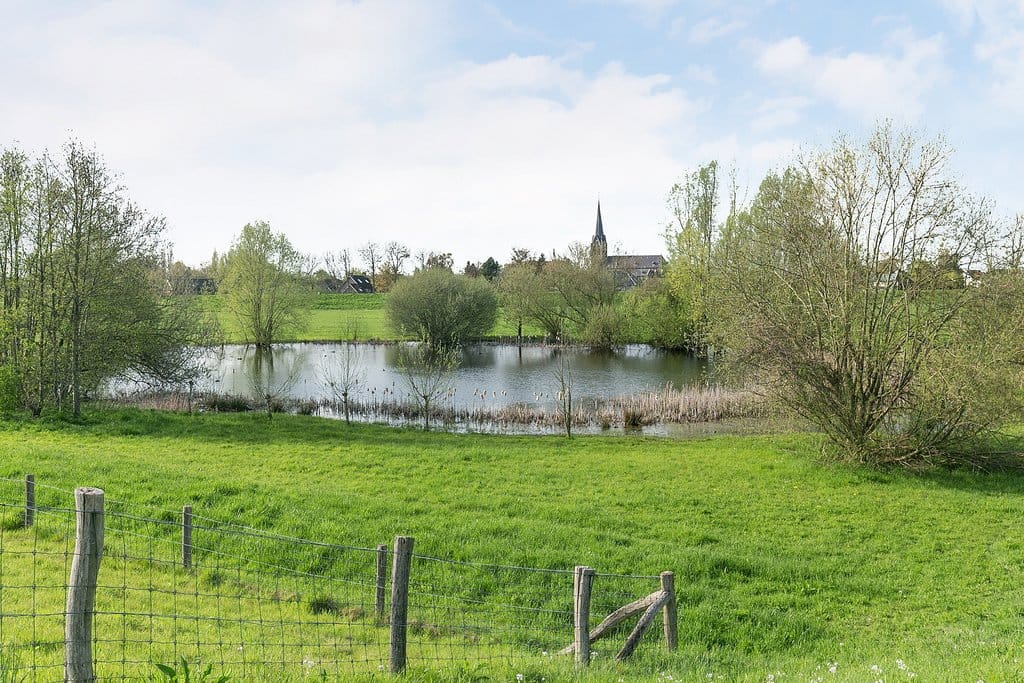 Foto 63 van Weisestraat 14