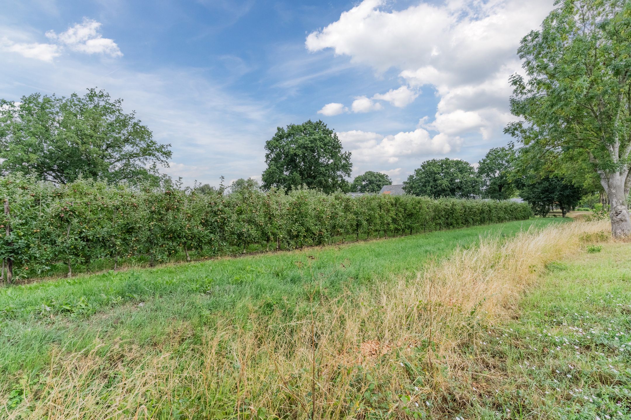 Foto 66 van Weisestraat 14