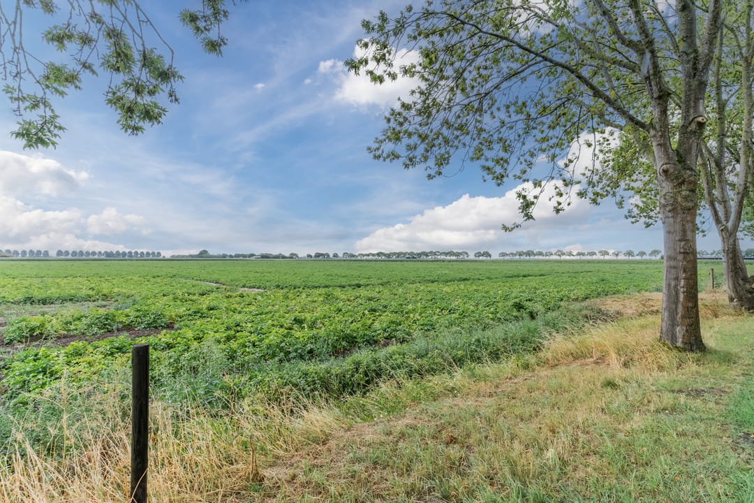 Foto 67 van Weisestraat 14