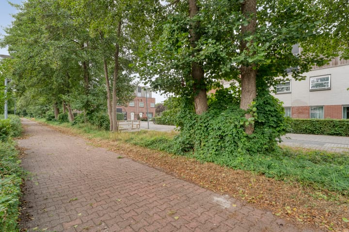 Foto 47 van Tauvlinder 23