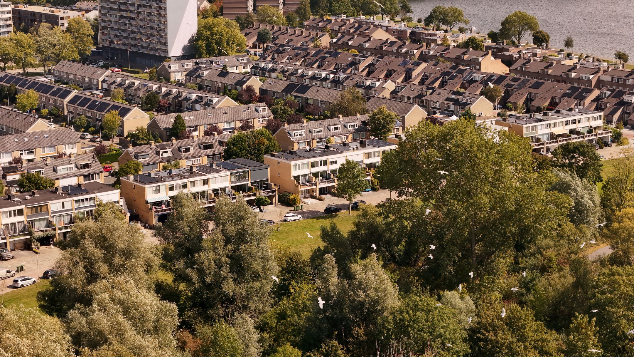 Foto 48 van Edelsteensingel 39