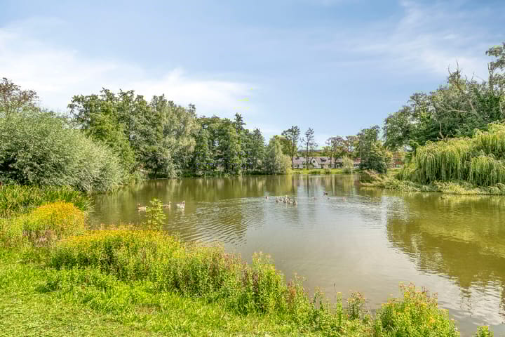 Foto 54 van Burgemeester van der Weidenlaan 60