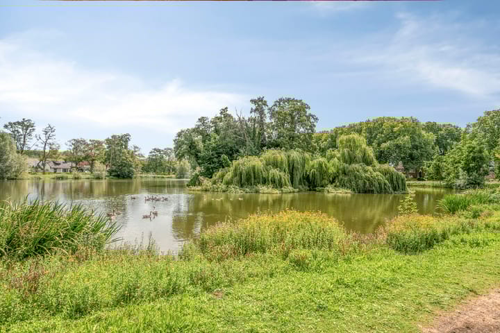 Foto 55 van Burgemeester van der Weidenlaan 60