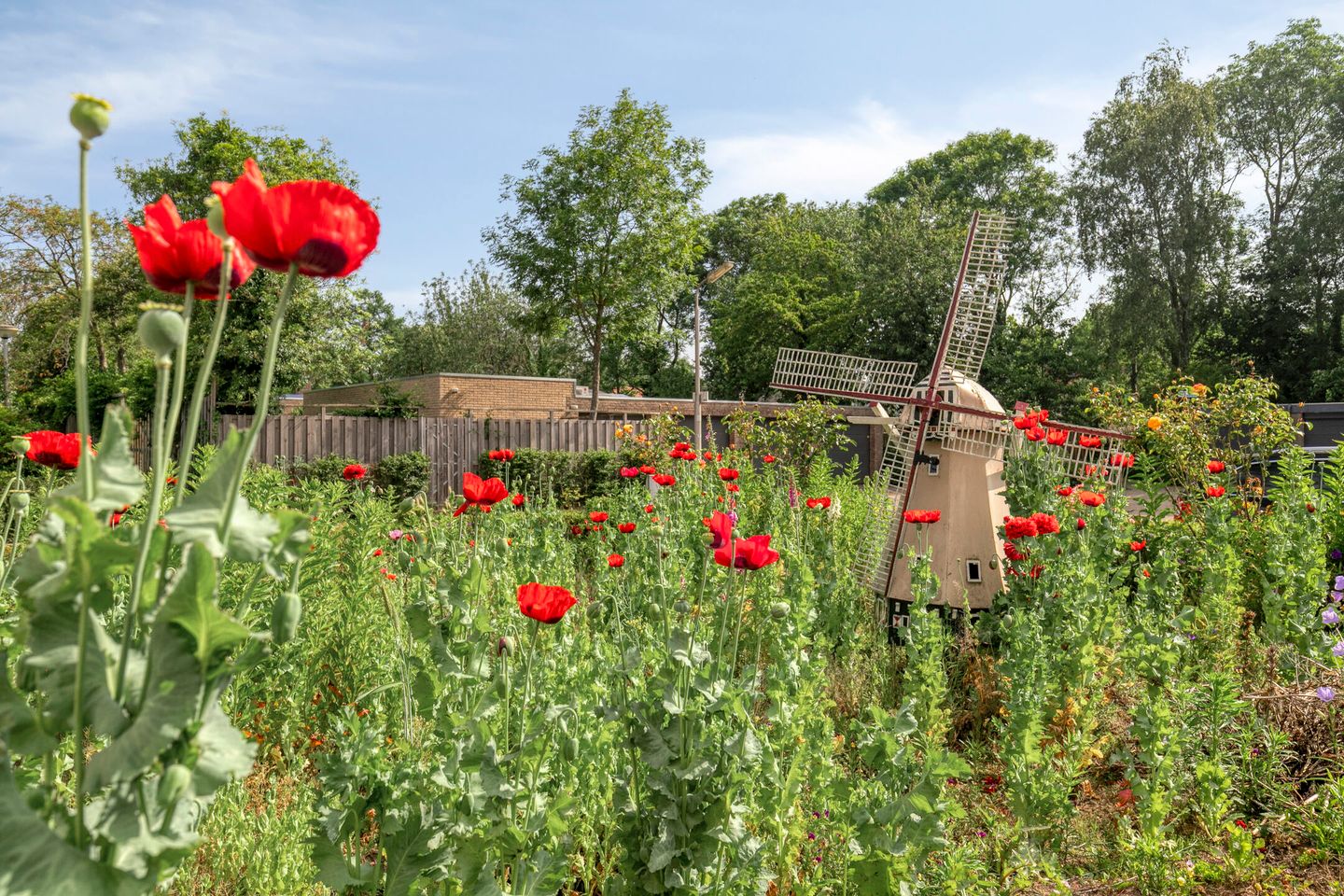 Photo 35 of Goedroenstraat 15