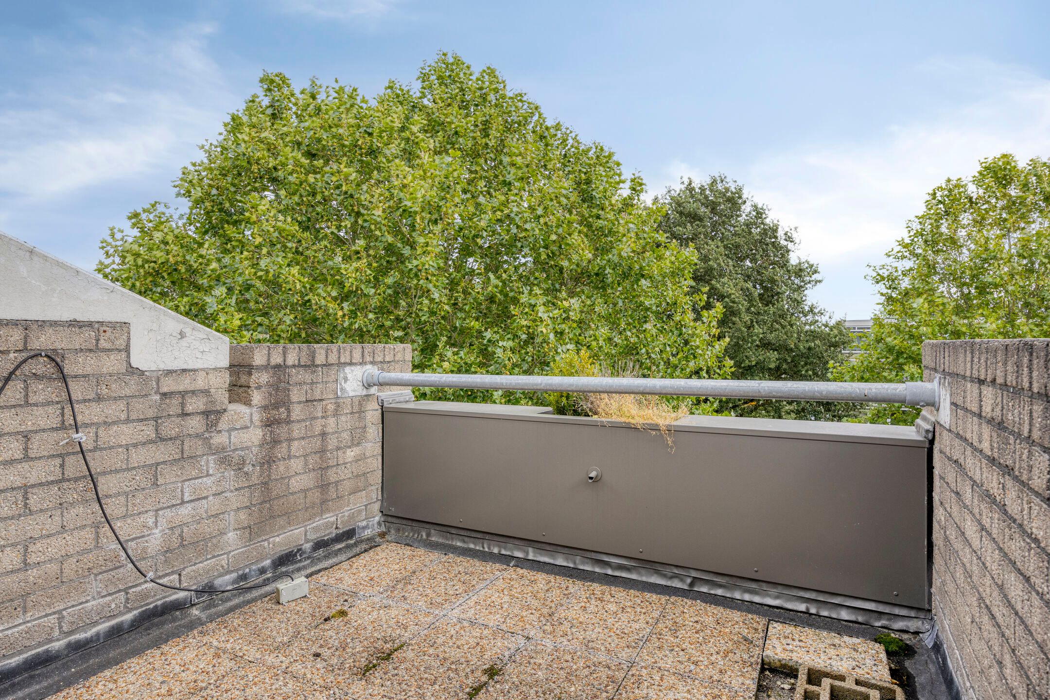 Foto 6 van Rottumerplaat 55