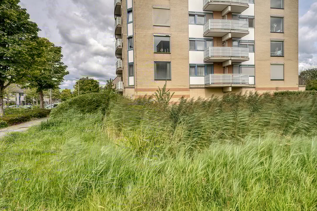 Foto 2 van Wagenmaker 8