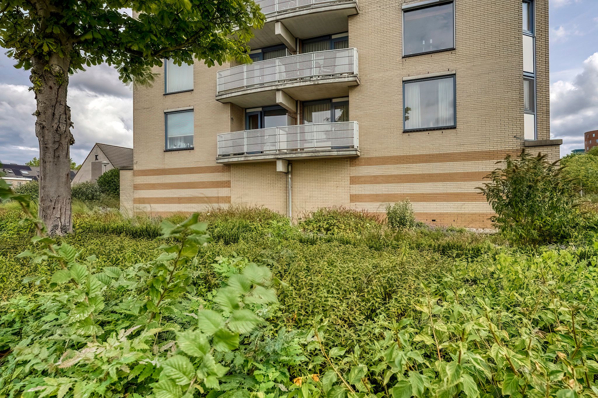 Foto 3 van Wagenmaker 8