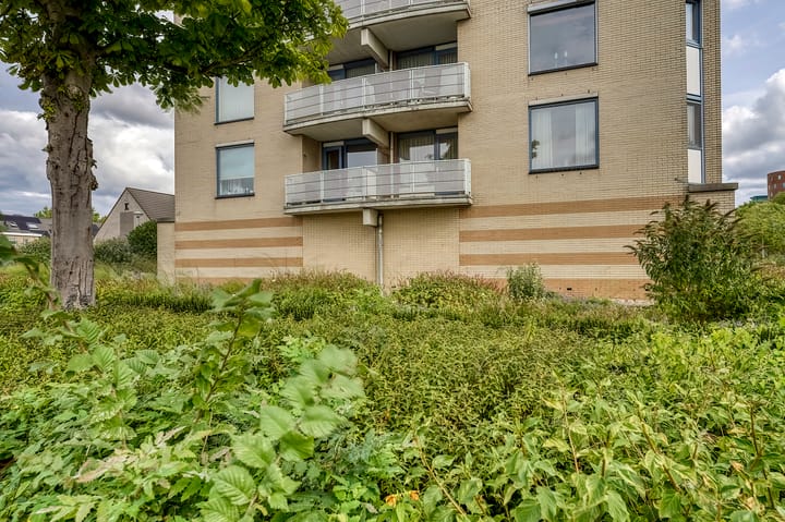 Foto 3 van Wagenmaker 8