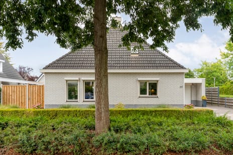 undefined main image