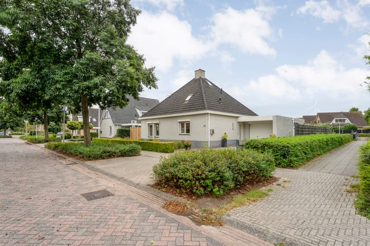 Photo 3 of Liguster 22