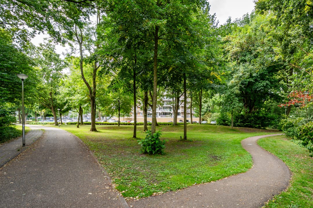 Foto 28 van Lupinesingel 190